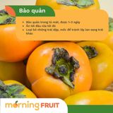  Hồng giòn Fuji Đà Lạt 