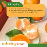  Quýt Oma Giống Úc 