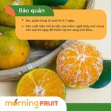  Quýt Đường Lão 