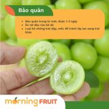  Nho mẫu đơn Hàn Quốc 