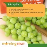  Nho mẫu đơn nội địa Trung 