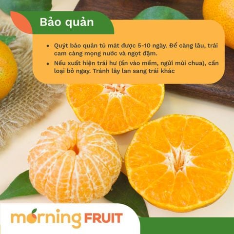  Quýt đường canh 