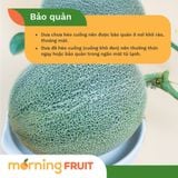  Dưa lưới mật Amore 