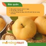  Lê Nâu nội địa Trung 