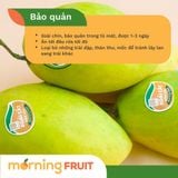  Xoài cát Hoà Lộc 