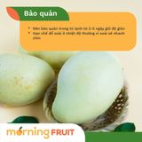  Xoài tứ quý da vàng 