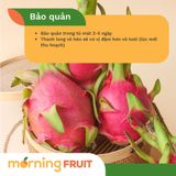  Thanh long ruột đỏ 
