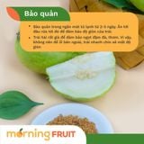  Ổi giống Đài Loan 