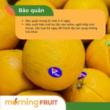  Cam vàng Úc 