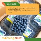  Việt quất Mỹ (Hộp 125gr) 