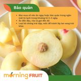  Đào sữa Hoàng Kim 