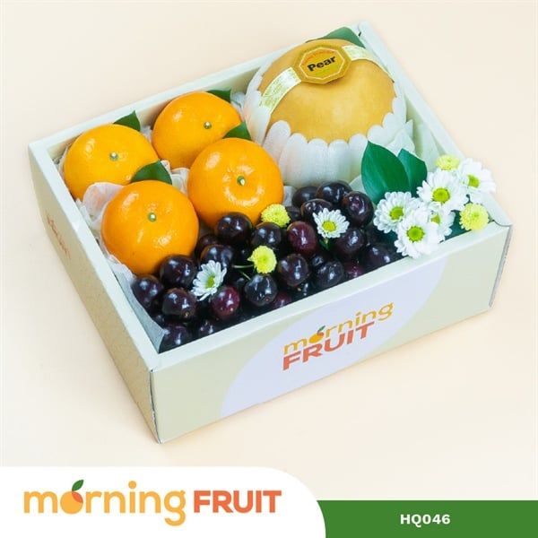  Hộp quà trái cây HQ046 