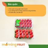  Dâu tây Hàn Quốc 