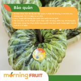  Na giống Thái 