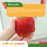  Dâu tây Mộc Châu (hộp 500GR) 