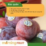  Mận đỏ Mỹ 
