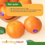  Quýt 2PH nội địa Trung 