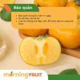  Hồng giòn Fuyu Mộc Châu 