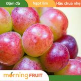  Nho mẫu đơn đỏ Sunny Dolce Hàn Quốc 
