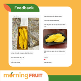  Sầu riêng Lão Nông (cơm sầu) 