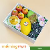  Hộp quà trái cây HQ041 
