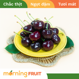  Cherry đỏ New Zealand 