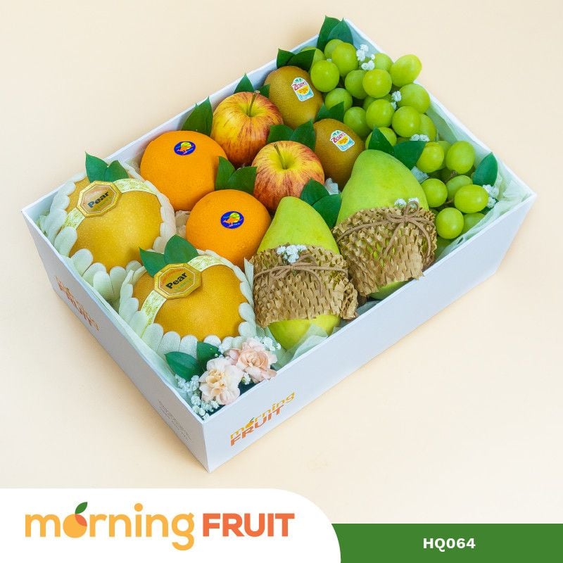  Hộp quà trái cây HQ064 
