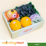 Hộp quà trái cây HQ020 