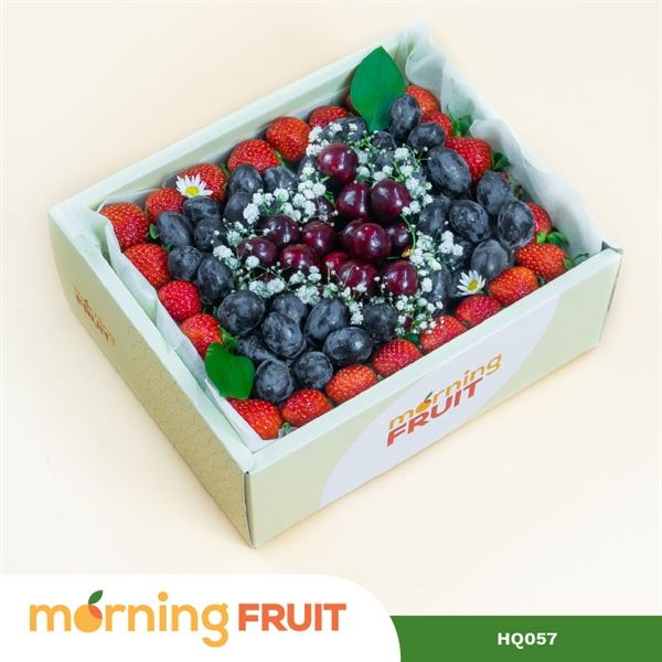  Hộp quà trái cây HQ057 