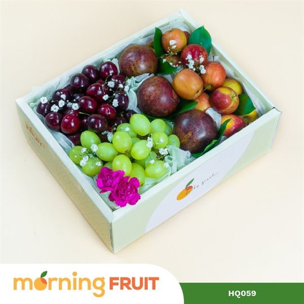  Hộp quà trái cây HQ059 
