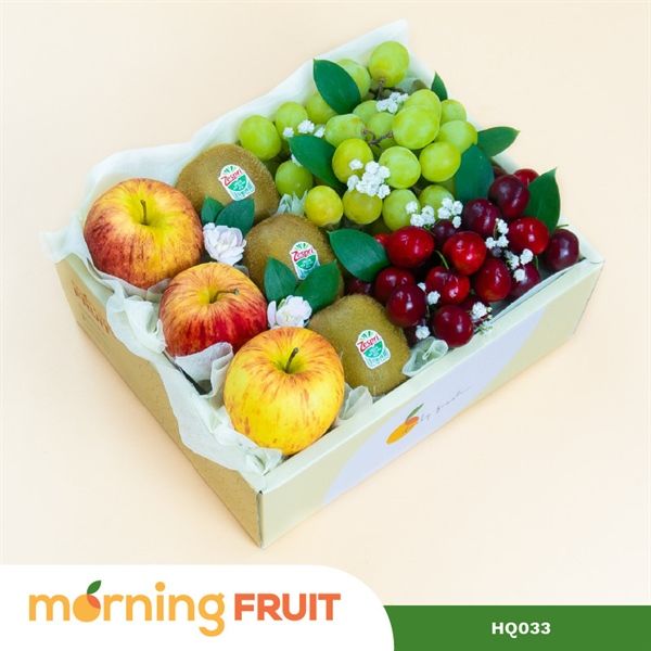  Hộp quà trái cây HQ033 