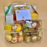  Hộp quà dạng xách XT001 