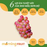  Nho mẫu đơn đỏ Sunny Dolce Hàn Quốc 