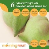  Đào hồng Mông Tự 