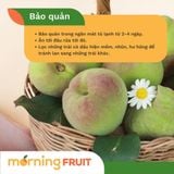  Đào hồng Mông Tự 