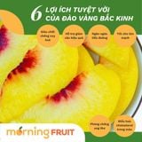  Đào vàng Bắc Kinh 
