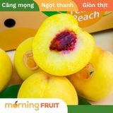 Đào vàng Bắc Kinh 