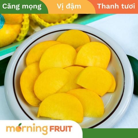  Đào vàng dẹt Sơn Tây 