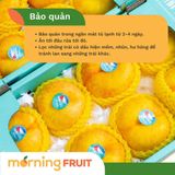  Đào vàng dẹt Sơn Tây 