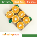  Cam sành hữu cơ Măng Đen 