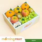  Hộp quà trái cây HQ039 