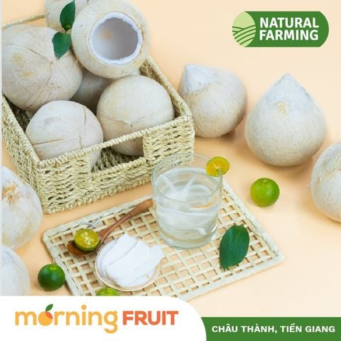  Dừa xiêm gọt trọc 