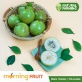  Vú sữa Lò Rèn 