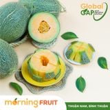  Dưa lưới mật Amore 