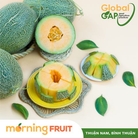  Dưa lưới mật Amore 