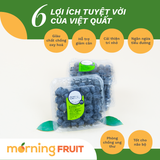  Việt quất Peru (hộp 125GR) 