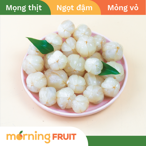  Bòn Bon Thái Lan 