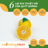  Quýt Đường Núi Lửa 