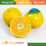  Quýt Đường Núi Lửa 