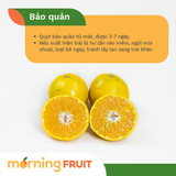  Quýt Đường Núi Lửa 